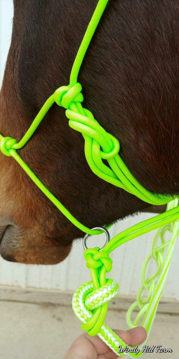 Soft Touch Schooling Halter with Horseman's Rope (Combo) - Image 2