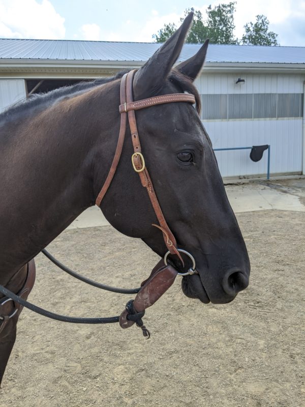 Complete Headstall with Soft Touch Snaffle Bit with Reins - Image 2