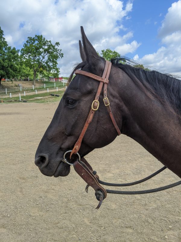 Complete Headstall with Soft Touch Snaffle Bit with Reins