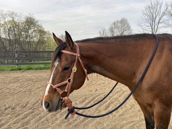 Deluxe Soft Touch Schooling Bridle with Soft Touch Three Piece O-Ring Snaffle Bit - Image 3