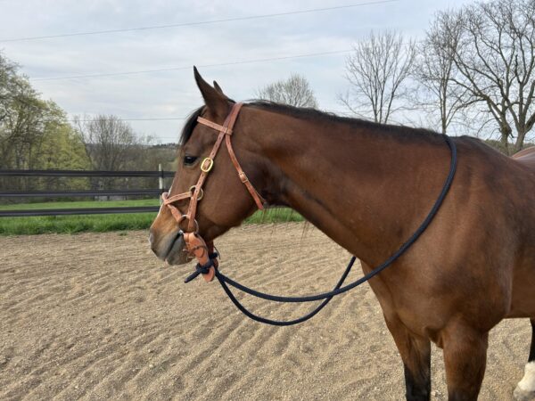 Deluxe Soft Touch Schooling Bridle with Soft Touch Three Piece O-Ring Snaffle Bit - Image 4