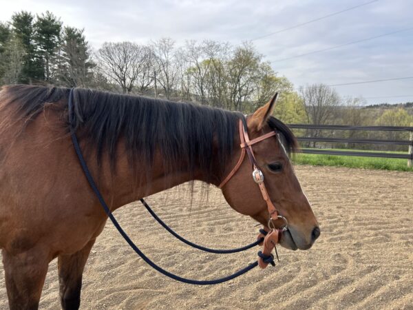 Complete Headstall with Soft Touch Snaffle Bit with Reins - Image 2