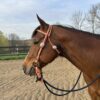 Complete Headstall with Soft Touch Snaffle Bit with Reins