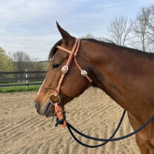 Complete Headstall with Soft Touch Snaffle Bit with Reins
