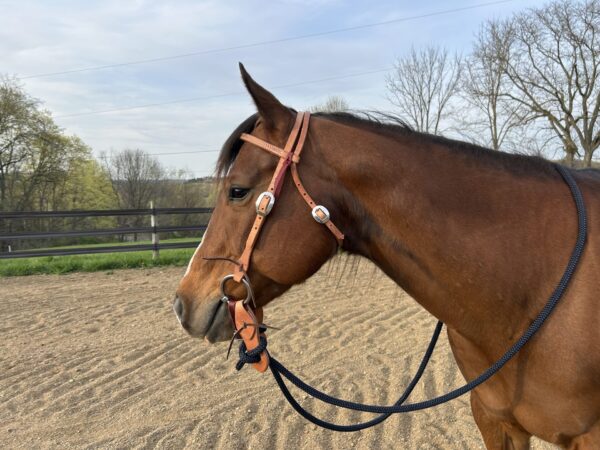 Complete Headstall with Soft Touch Snaffle Bit with Reins - Image 3