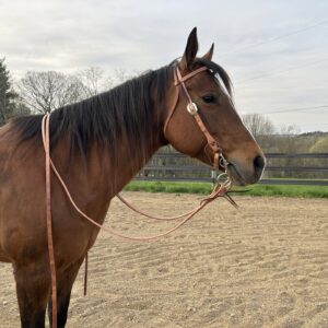 Complete Headstall with Reins and Soft Touch Curb Bit