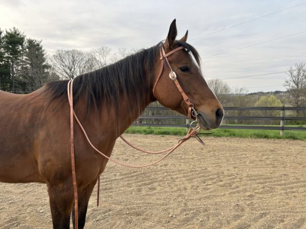 Complete Headstall with Reins and Soft Touch Curb Bit