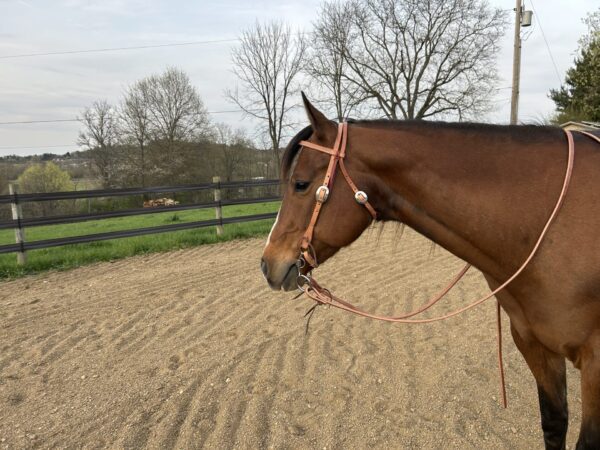 Complete Headstall with Reins and Soft Touch Curb Bit - Image 2