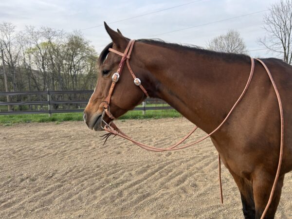 Complete Headstall with Reins and Soft Touch Curb Bit - Image 3