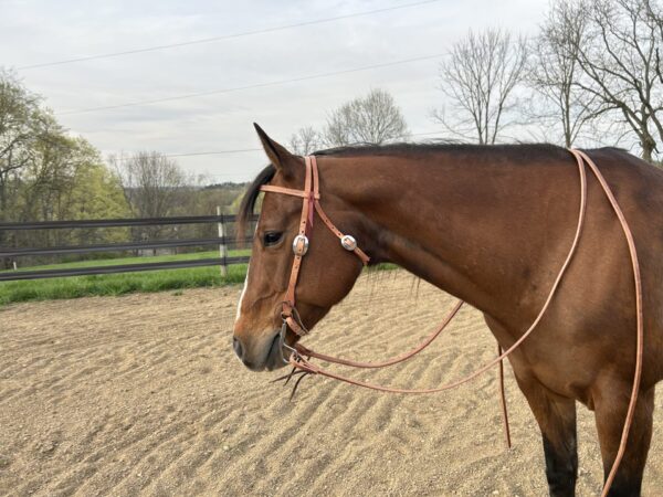 Complete Headstall with Reins and Soft Touch Curb Bit - Image 4